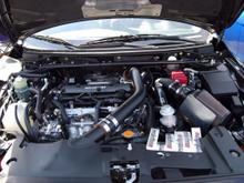 Darwin and the EvoM Banner