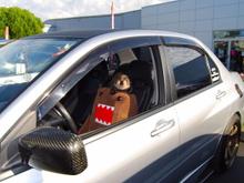 Darwin in fcapistran's Evo