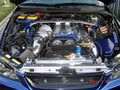 MOTORSHOT