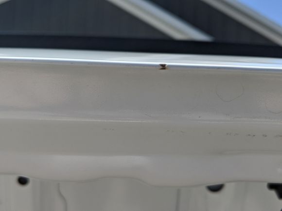 Trunk chip #2