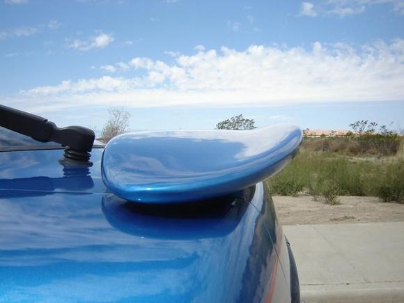 2475 wing, showing camber