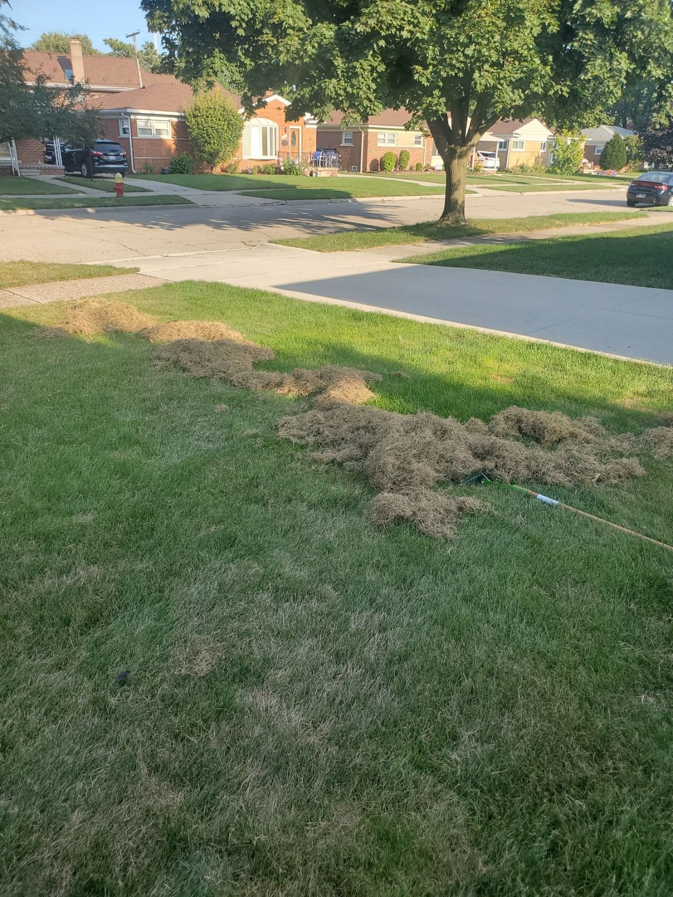 DaveCN5's '18 SCREW Magnetic Special Edition Build - Page 83 - Ford