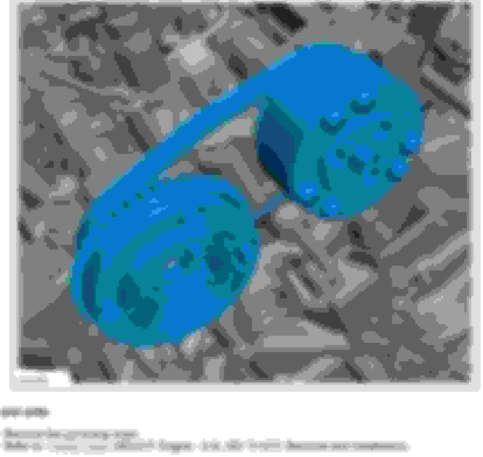 Coyote V8 belt driven oil pump? Ford F150 Forum Community of Ford