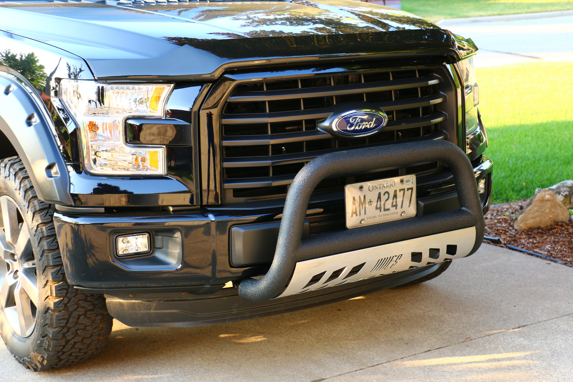 2002 Ford F150 Bull Bar