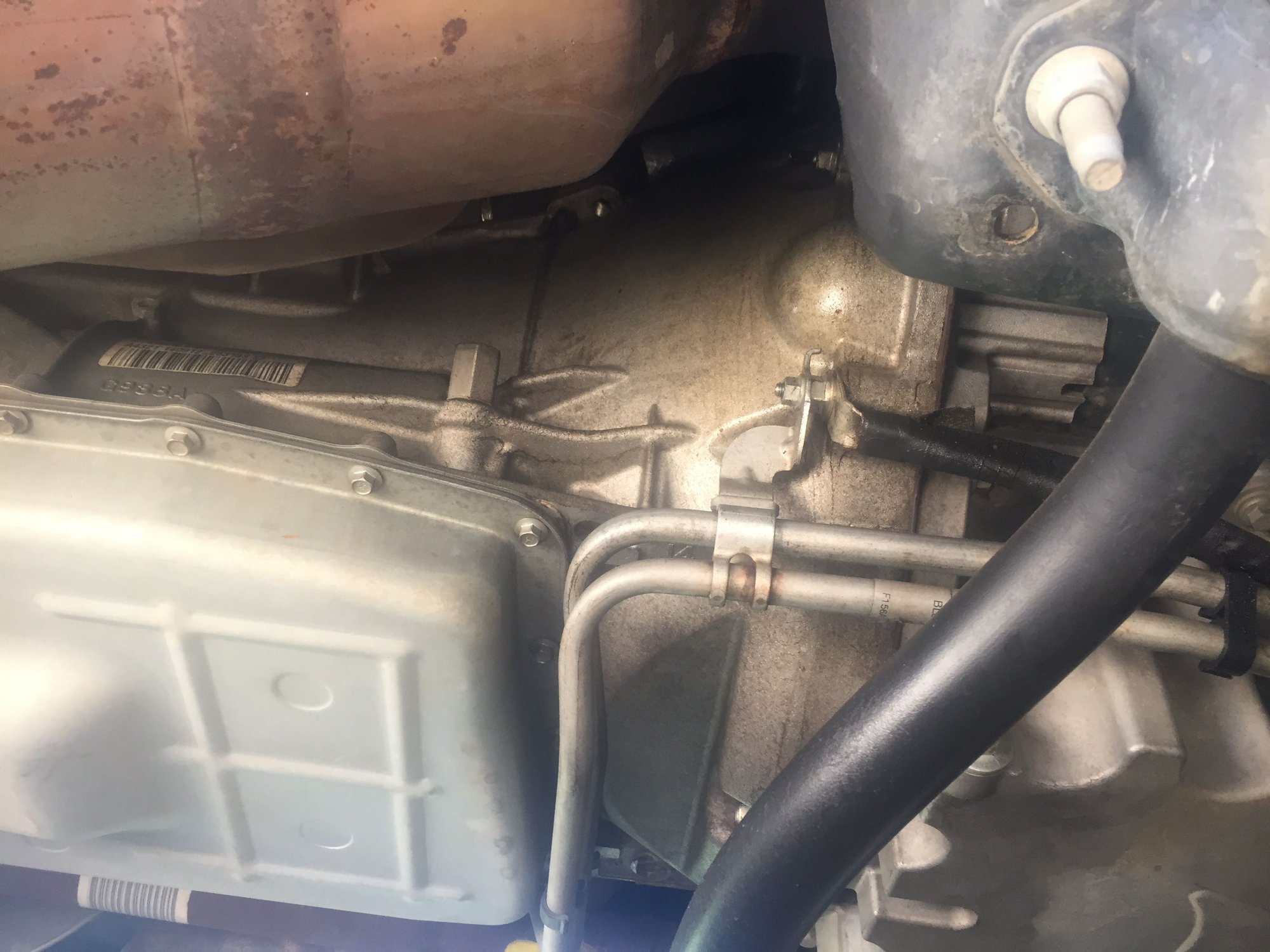 2013 ecoboost oil leak. Any help appreciated! Ford F150 Forum