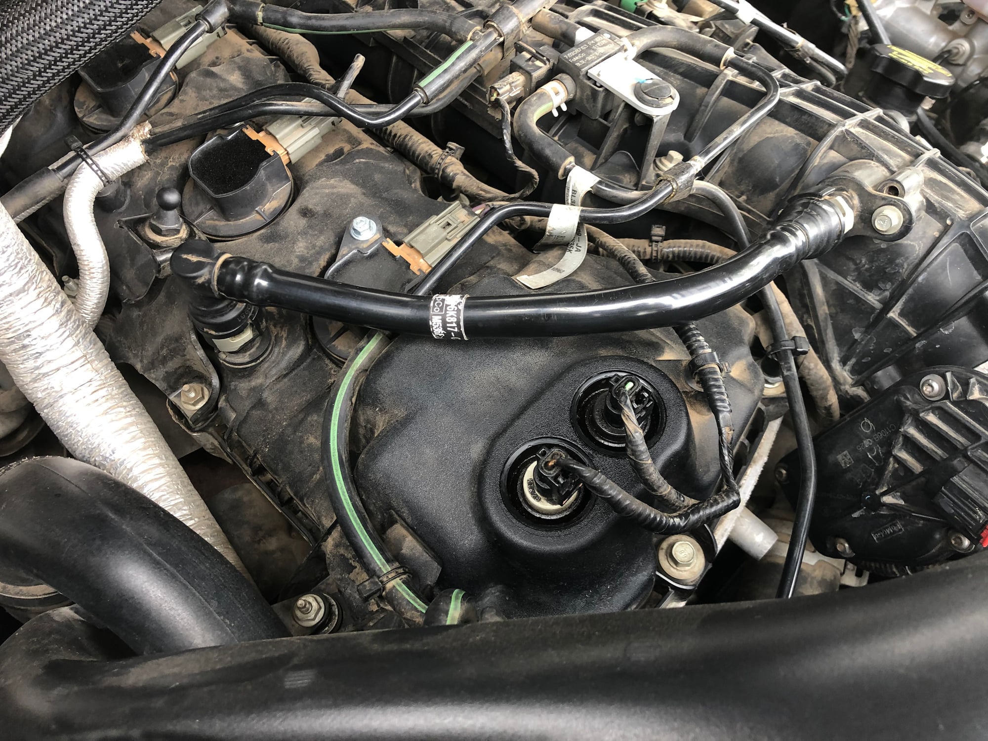 2015+ Ford F150 Ecoboost Oil Catch Can, Part 1: Stock System