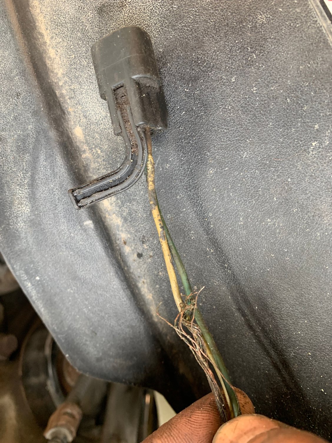 CPS crank shaft position sensor and plug / harness Ford F150 Forum