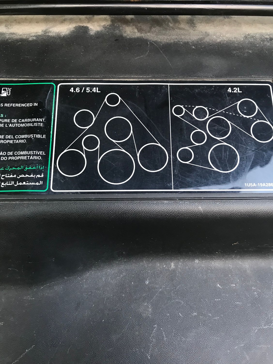 AC Compressor mounting bolt And belt squeal after bypass. Ford F150