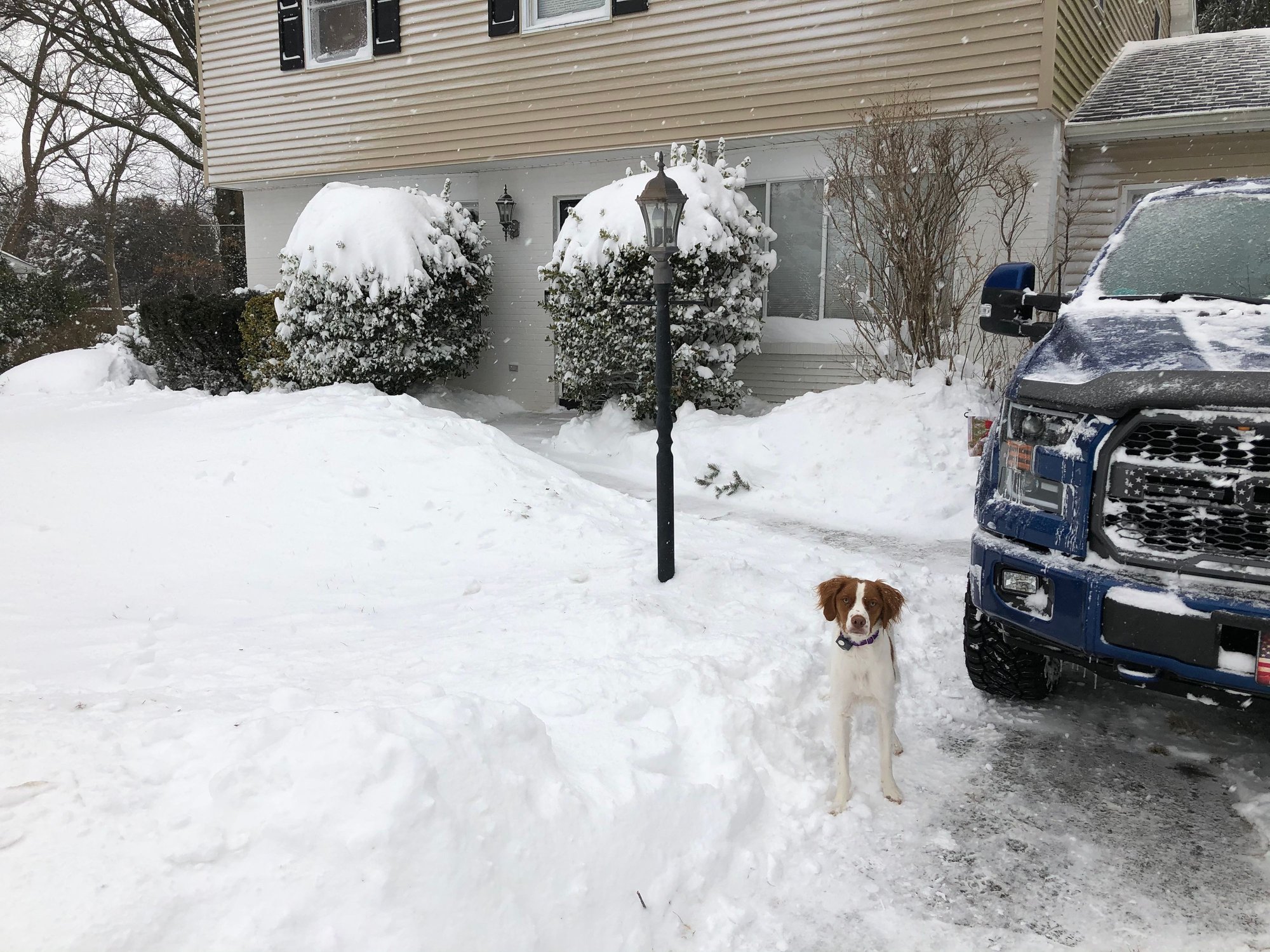 2017 SCREW Lighting Blue XLT 4x4 Build (aka Big Blue) Page 32 Ford