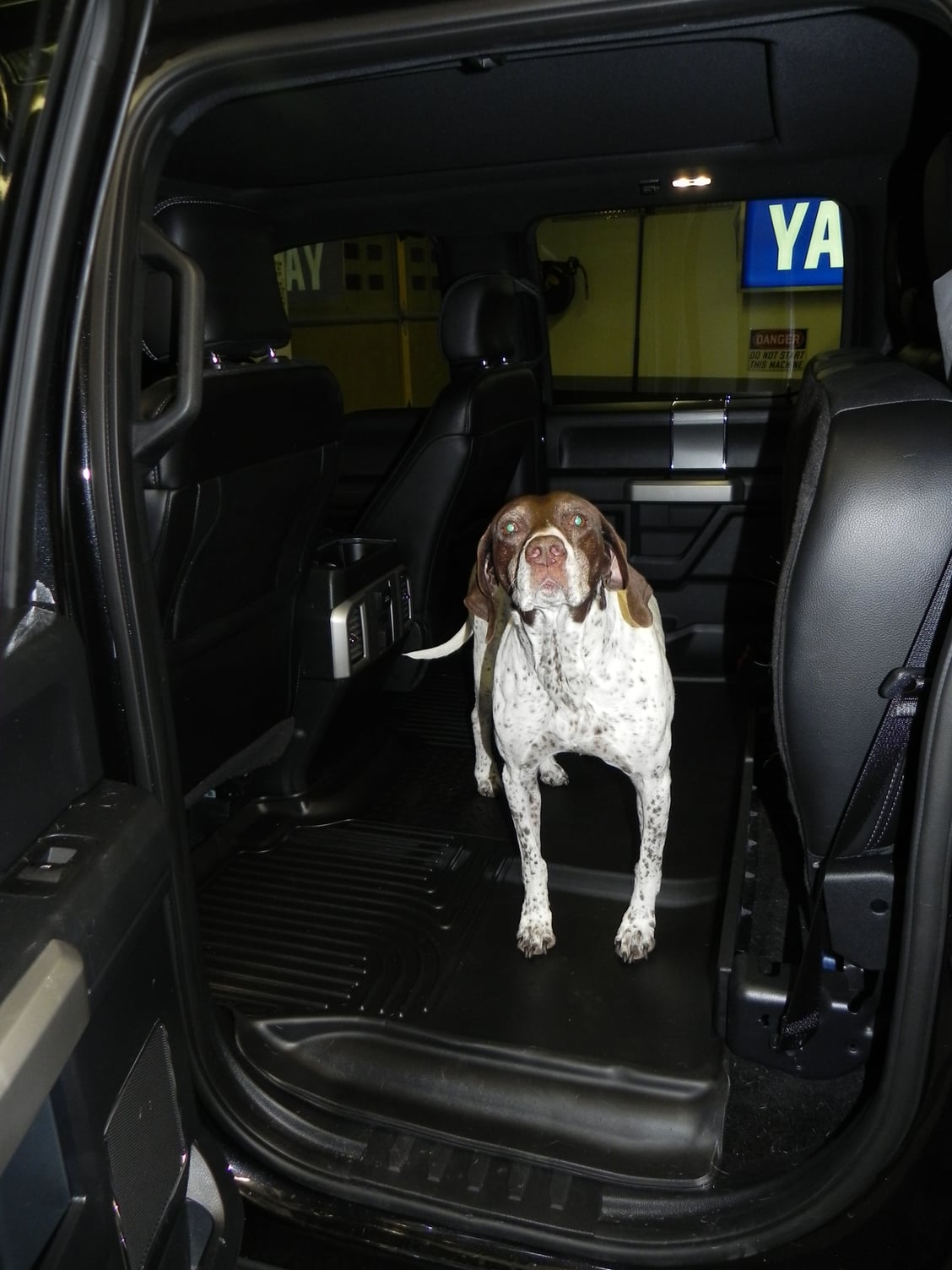 SCrew Backseat Floor Mats w/seat up (dog) - Page 4 - Ford F150 Forum -  Community of Ford Truck Fans