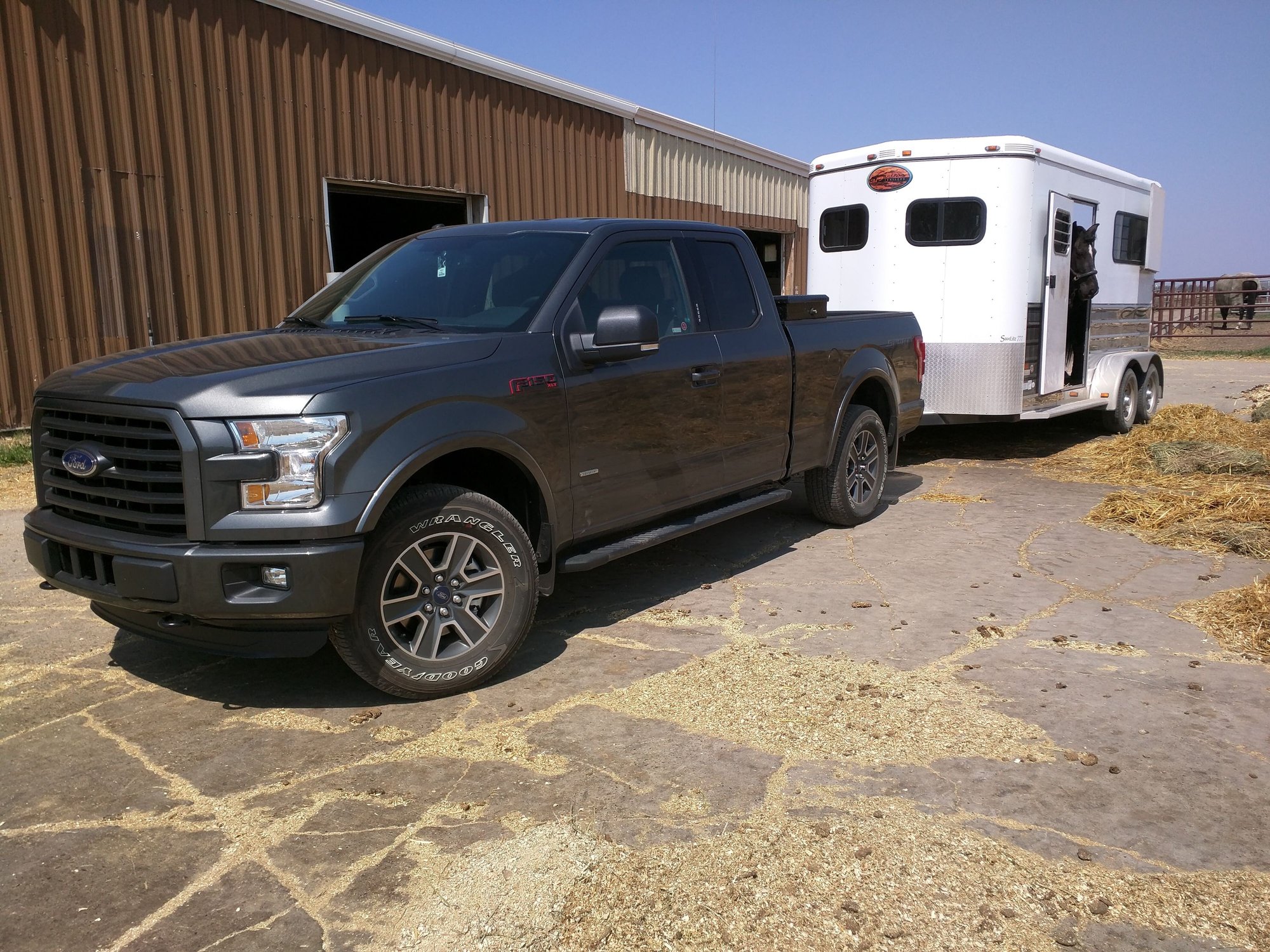 First horse show with the new truck - Ford F150 Forum - Community of