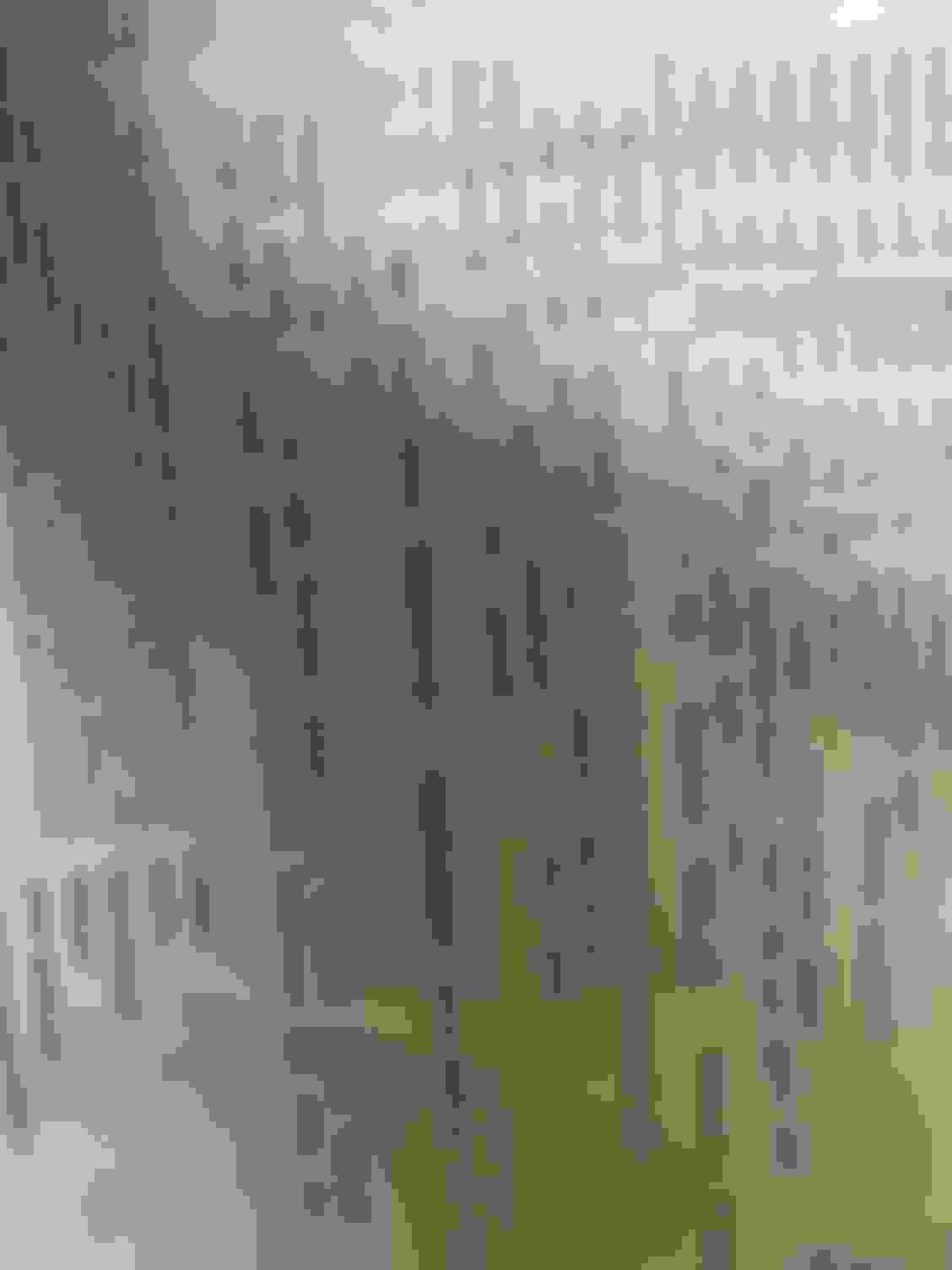 2006 Ford F150 5.4 Cam Phaser Torque Specs