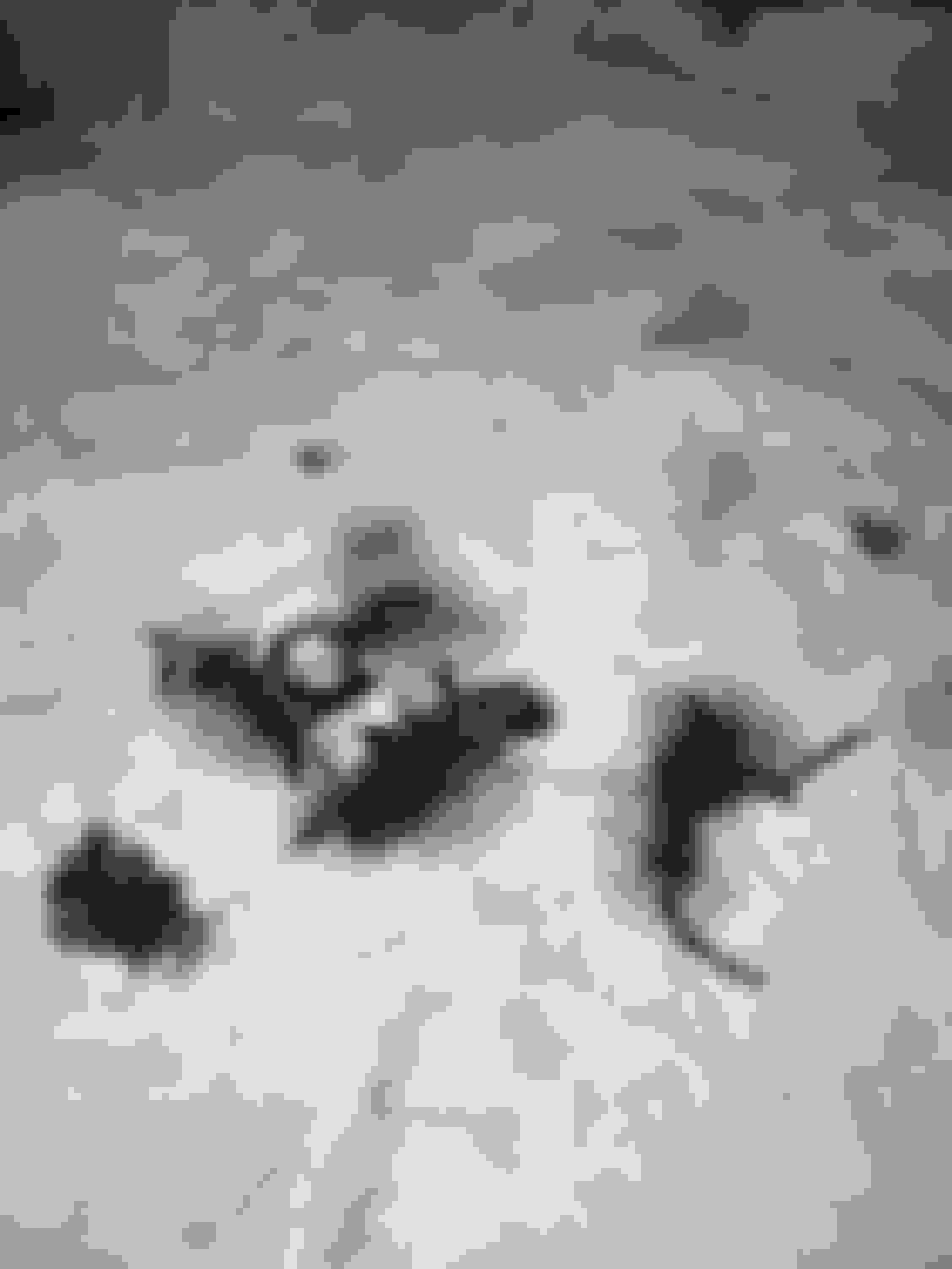 Oil pickup tube clogged Ford F150 Forum Community of Ford Truck Fans