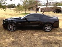 GT Mustang