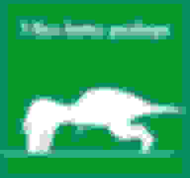 Dinosaur Green Screens #3 on Make a GIF