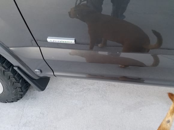 Ford mudflaps