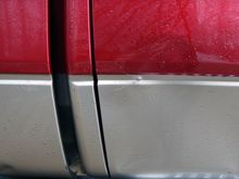 These hairs are still stuck in the rear door.