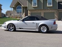 S trim