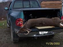 9 point