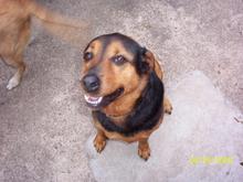 Misc. Pics