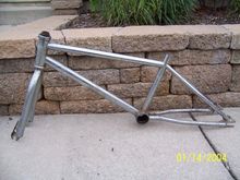 Predator1