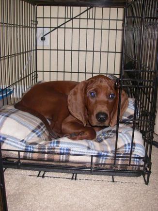 Junior when he was a little man!