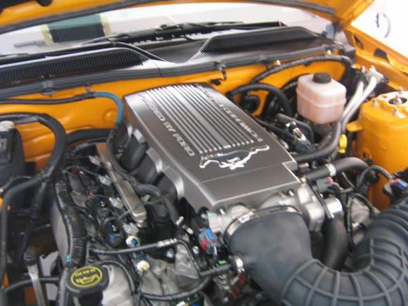 Running pony engine plenum cover.