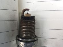 Cyl 1 plug (normal)