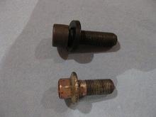 IMG 0244