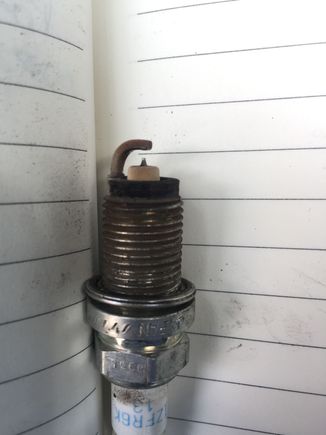Cyl 1 plug (normal)