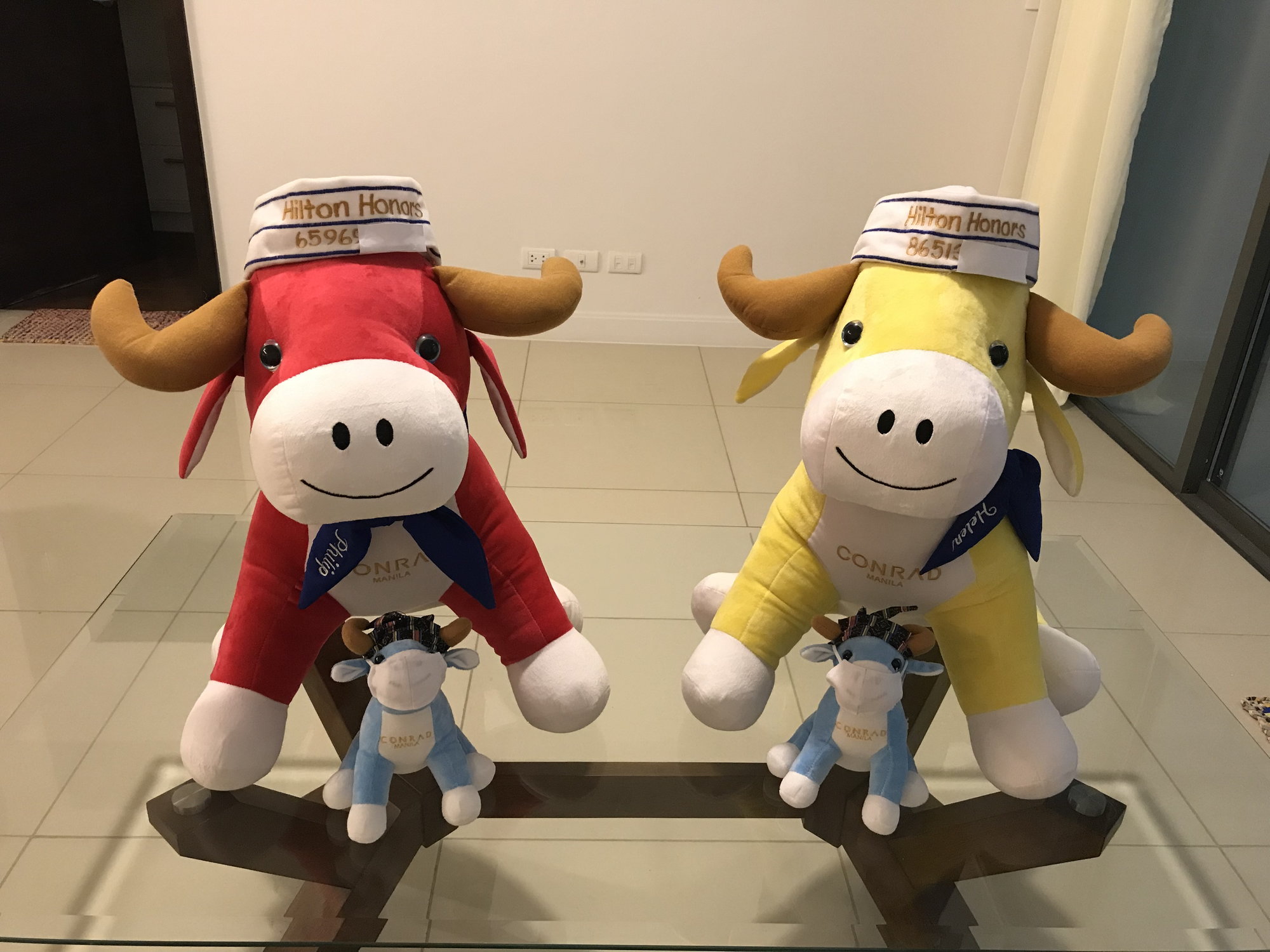 Stuffed Toys from Conrad Hotelswhich ones do you have? - Page 41 -  FlyerTalk Forums