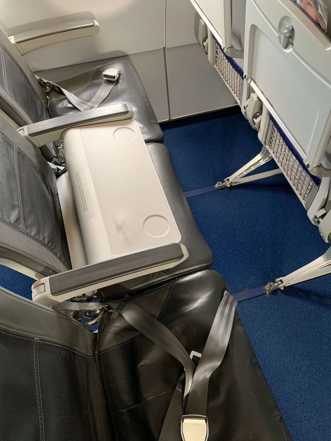 Which J cabins have a bassinet built into the seat like the 789? -  FlyerTalk Forums