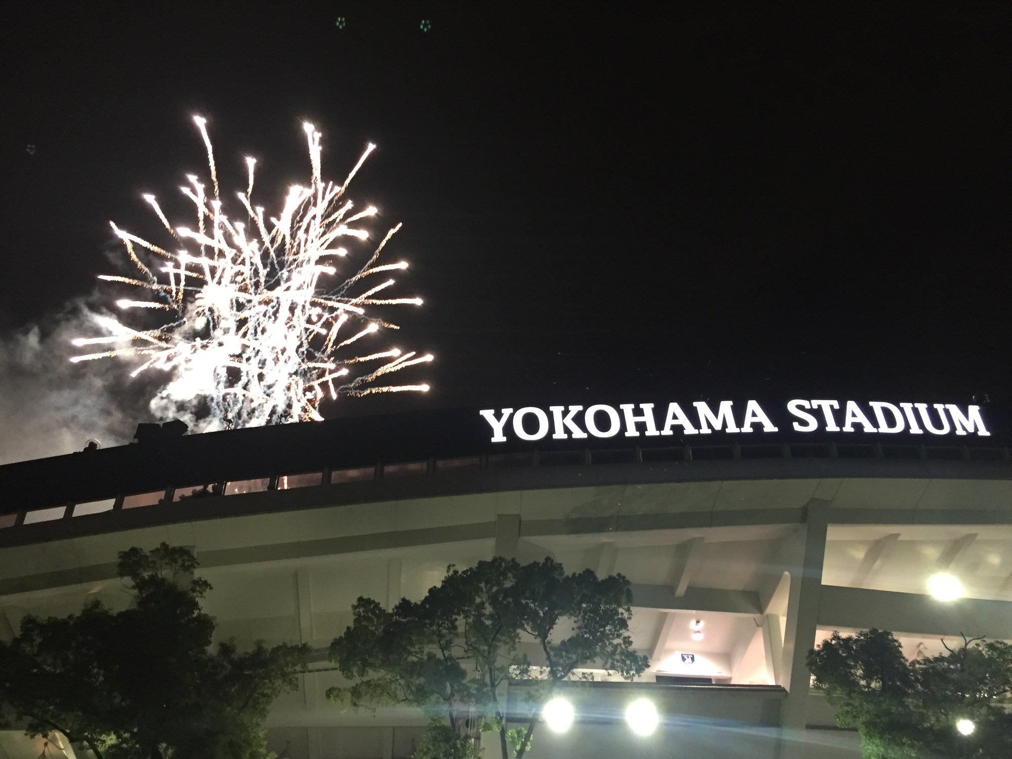 Watching a baseball game at Yokohama Stadium - Ambassadors Japan