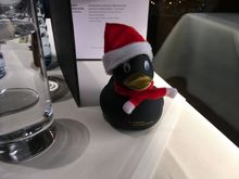 FCT Duck
