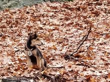 Hanging out in the park behind the house