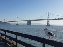My Post Pictures