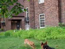 Someone is mis-zoomies