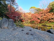 The Koisihkawa Korakuen garden near tokyo dome. Beautiful fall colours and at times lots of people taking photos of the red bridge