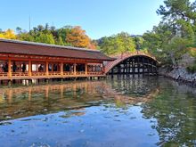 The inside of the shrine as the tide is going out