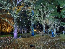 Some of the illuminations on the outside of Tokyo Midtown plaza in Roppongi ( outdoor skating rink was also here) .Fake fog also generated occasionally