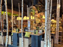 Birch trees every where. I like the decoration.
