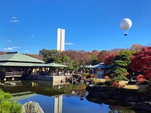 garden with  the observation balloon in the background