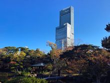 View of the tower from the garden

