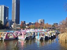 Rental boats  on Shinobazu pond by Ueno park