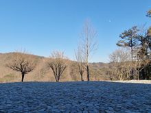 View into the hills from the cafe