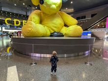 Overnight layover in Doha