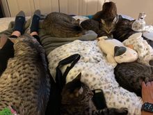 The monsters are taking good care of their grandma while she recovers from surgery.