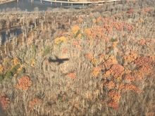 Our planes shadow