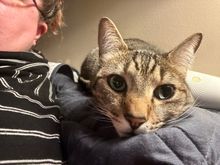 George taking care of mama