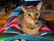 George has decided to forgive me for being gone last week.